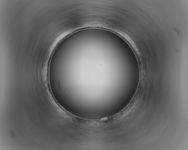 X0000113930815200909251218