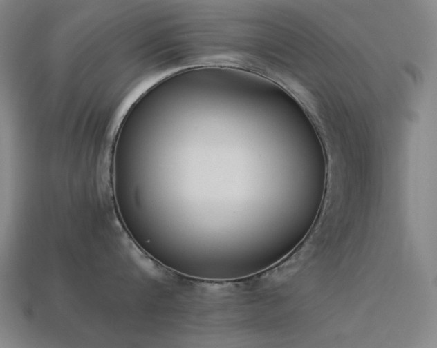 X0000113930816200909251218