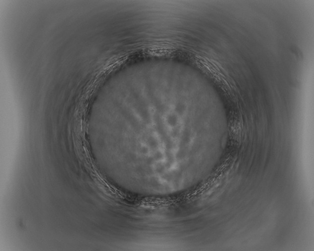 X0000113930817200909251217