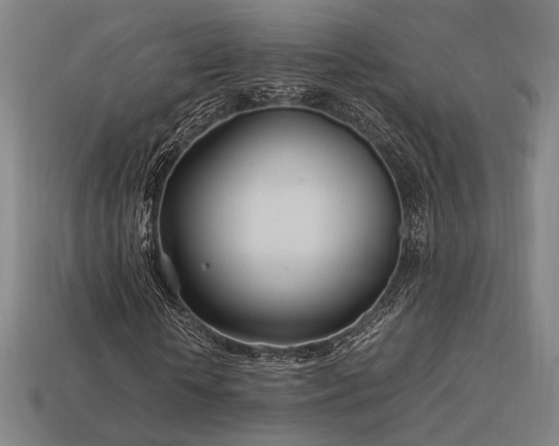 X0000113930818200909251217