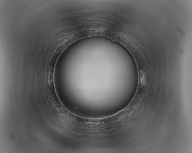 X0000113930819200909251217