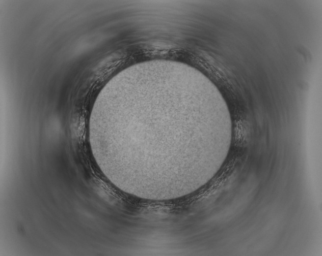 X0000113930820200909251217