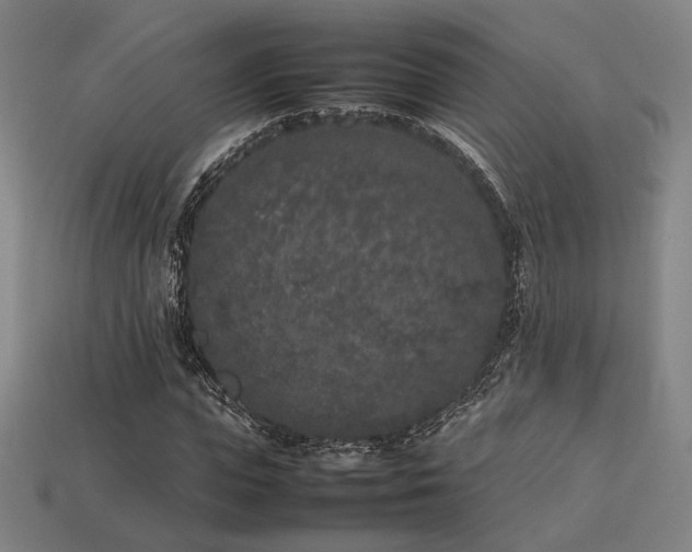 X0000113930823200909251217