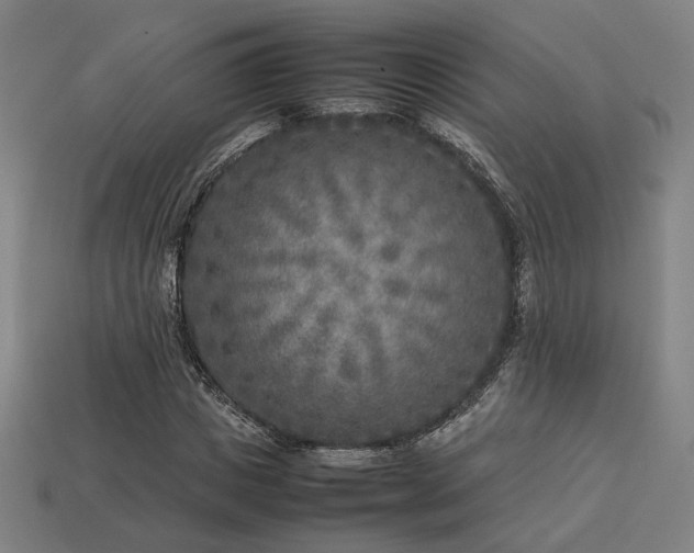 X0000113930825200909251217
