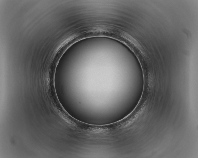 X0000113930826200909251217