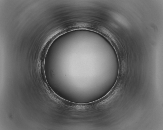 X0000113930827200909251217