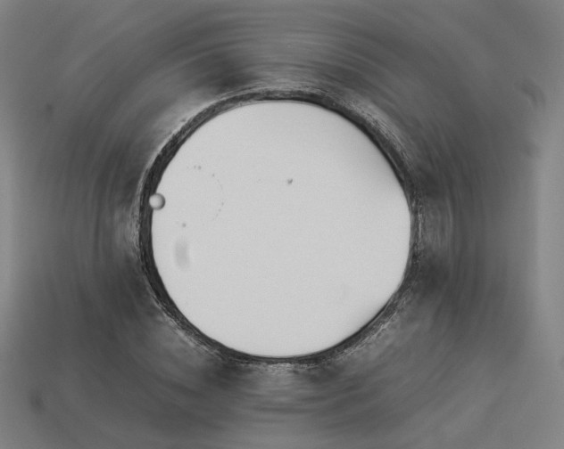 X0000113930828200909251217