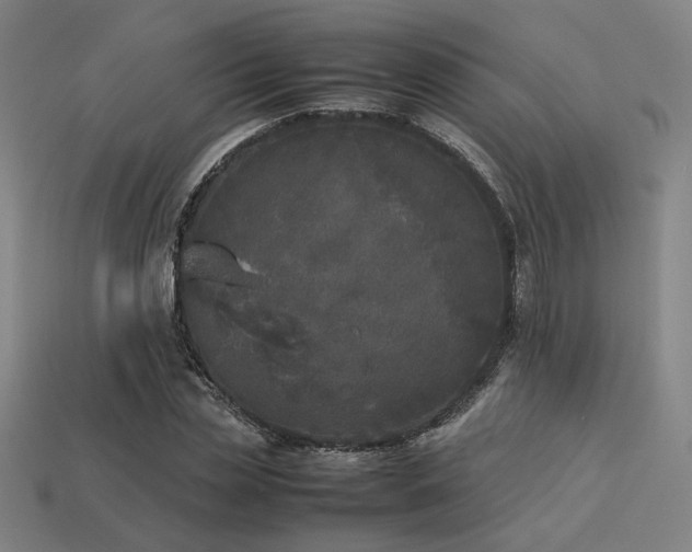 X0000113930829200909251217
