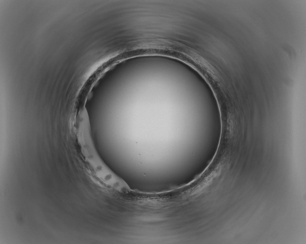 X0000113930830200909251217