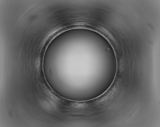 X0000113930831200909251217