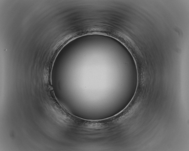 X0000113930833200909251217