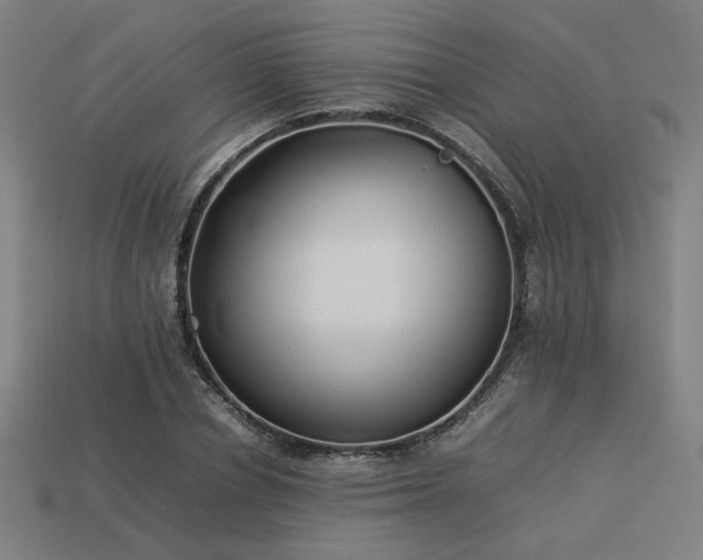 X0000113930834200909251217