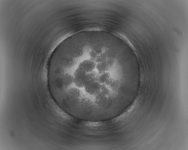 X0000113930835200909251217