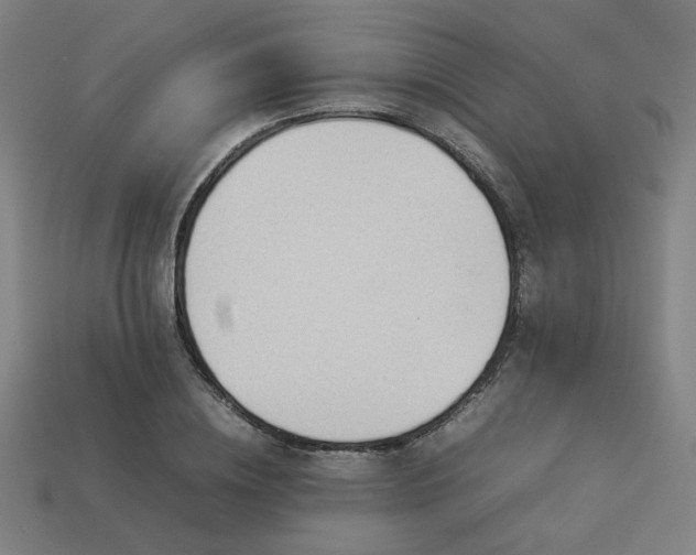 X0000113930836200909251217