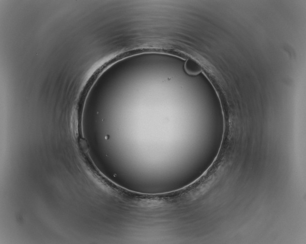 X0000113930838200909251217