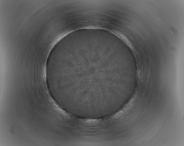 X0000113930839200909251217