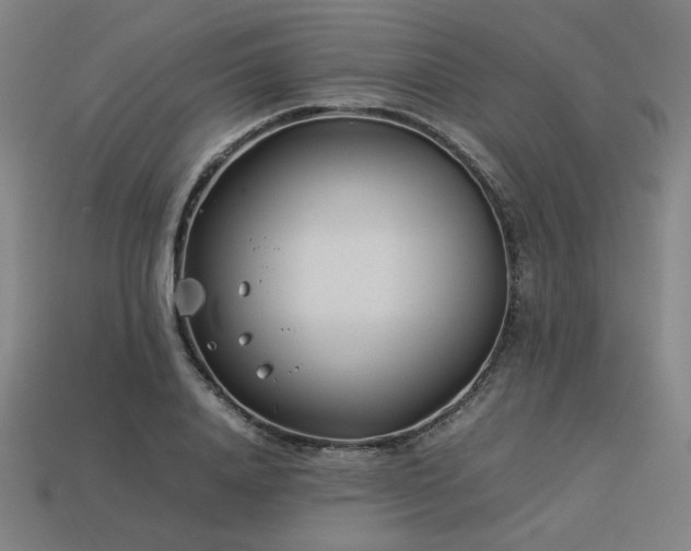 X0000113930840200909251217
