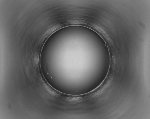 X0000113930841200909251217