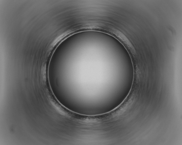 X0000113930842200909251217