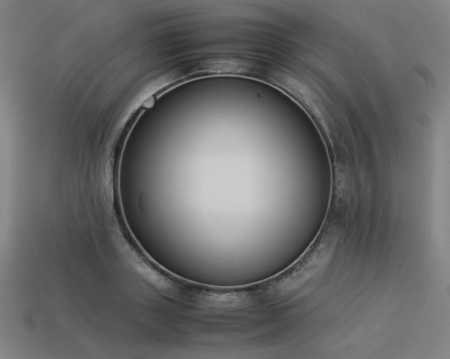 X0000113930843200909251217