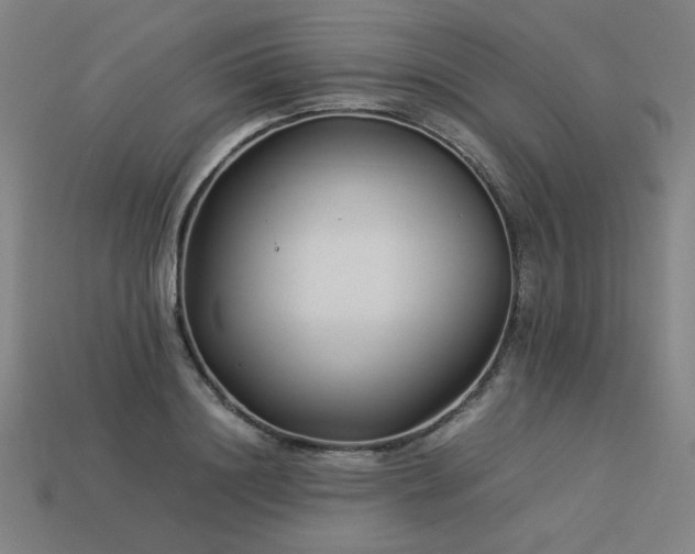 X0000113930844200909251217