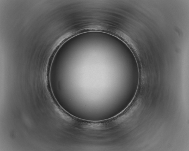 X0000113930845200909251217
