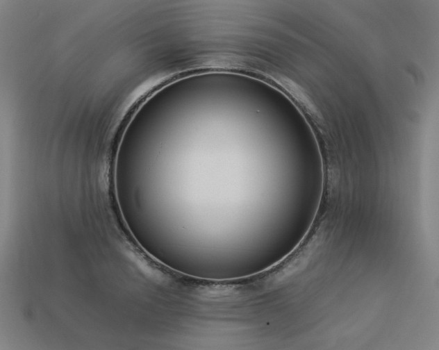 X0000113930846200909251218