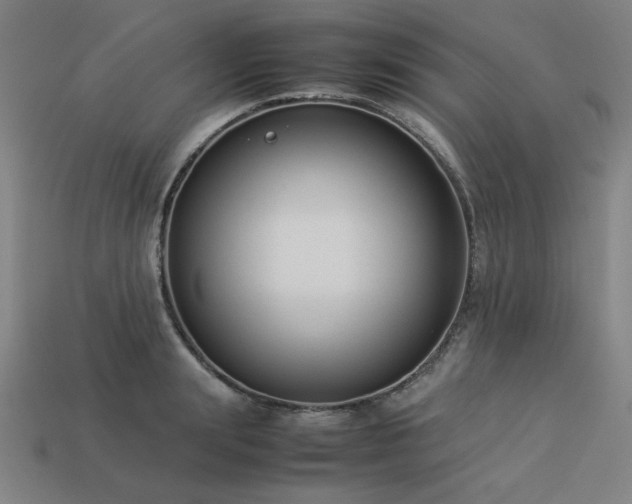 X0000113930847200909251218