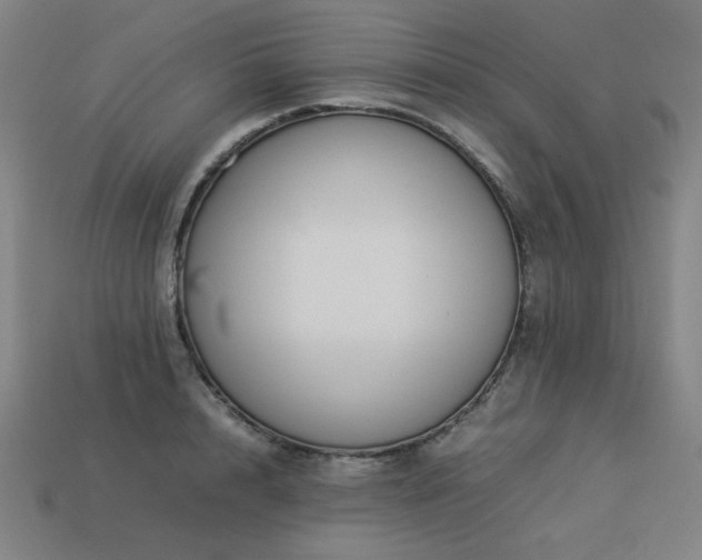 X0000113930848200909251218