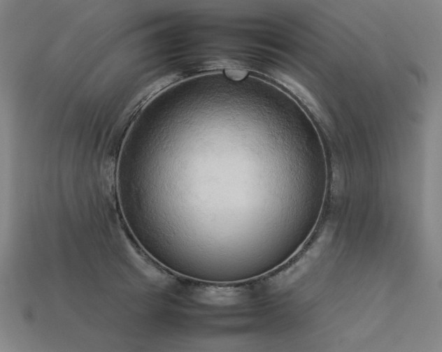X0000113930849200909251218