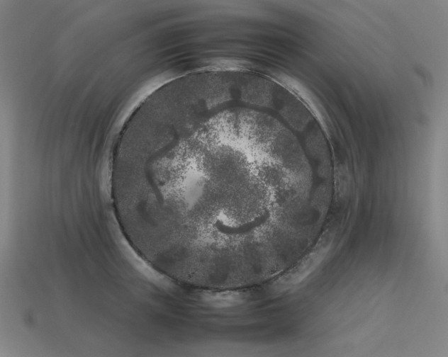 X0000113930851200909251218