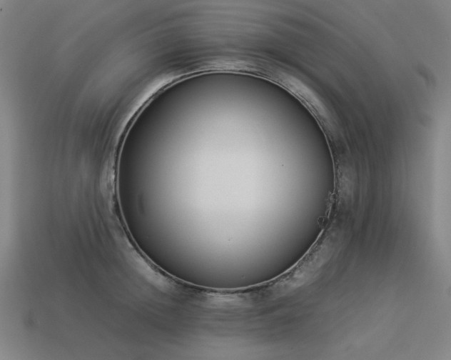 X0000113930852200909251218