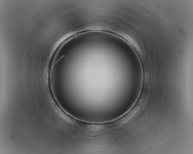 X0000113930854200909251218