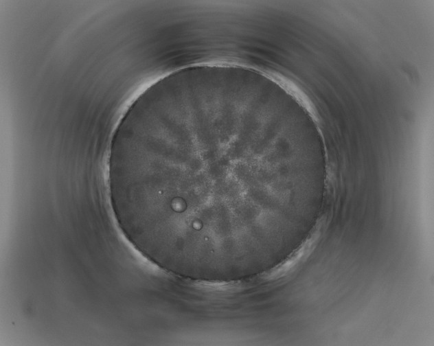 X0000113930855200909251218