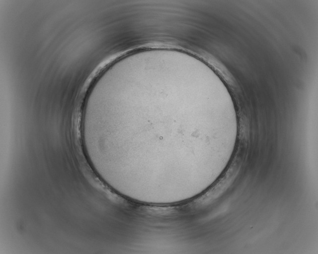 X0000113930856200909251218