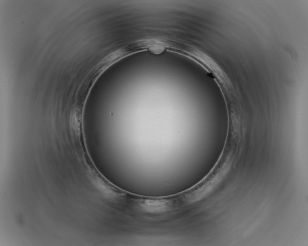 X0000113930857200909251218