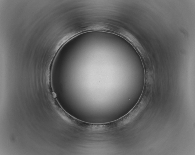 X0000113930858200909251218