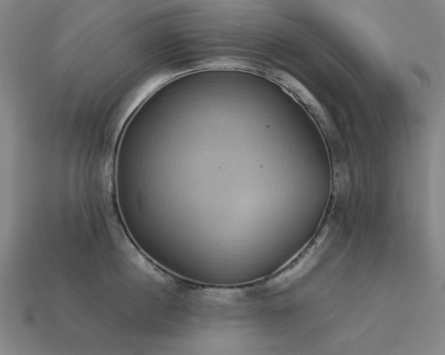 X0000113930860200909251218