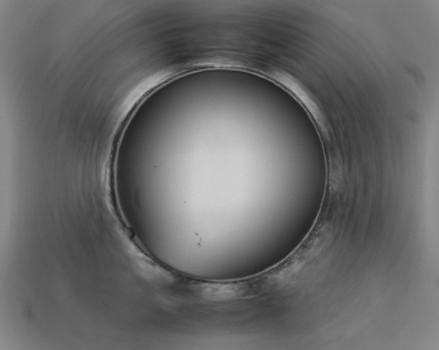 X0000113930861200909251218