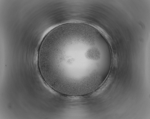X0000113930862200909251218