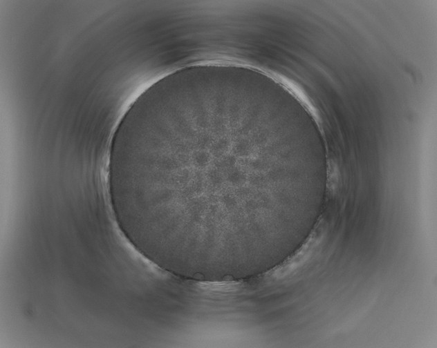 X0000113930863200909251218