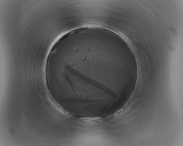 X0000113930864200909251218