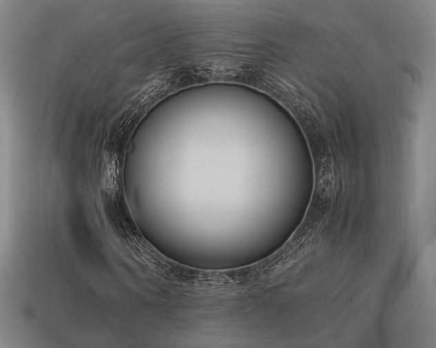 X0000113930866200909251217