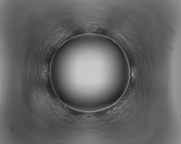 X0000113930867200909251217