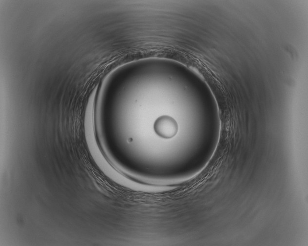 X0000113930868200909251217