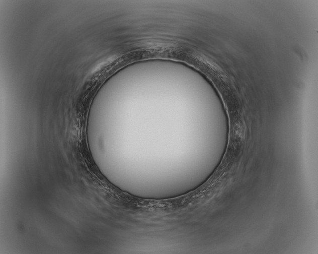 X0000113930869200909251217