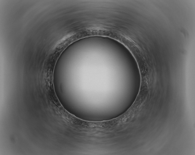 X0000113930870200909251217
