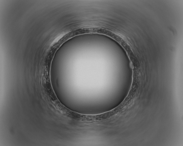 X0000113930871200909251217