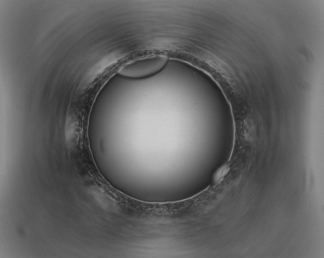 X0000113930872200909251217