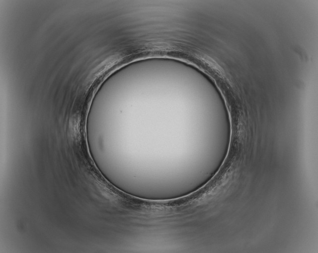 X0000113930873200909251217